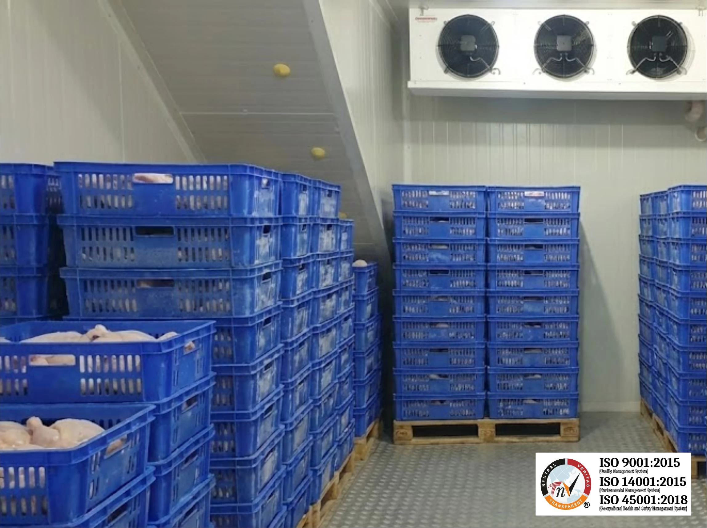 Standarisasi Suhu Cold Storage: Chilled Room hingga Blast Freezer Custom BJT